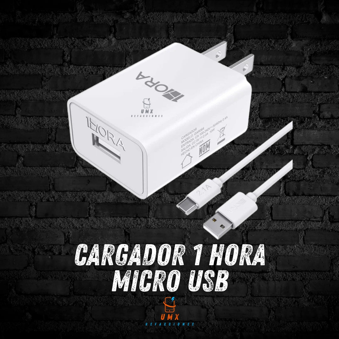 Cargador Mirco USB 1Hora GAR064
