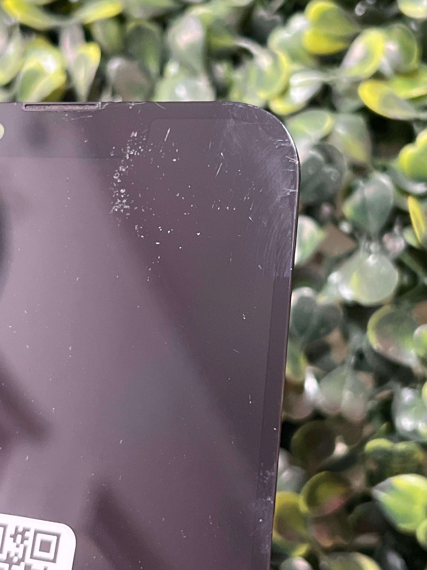 Display iPhone 13 Pro Soft Oled