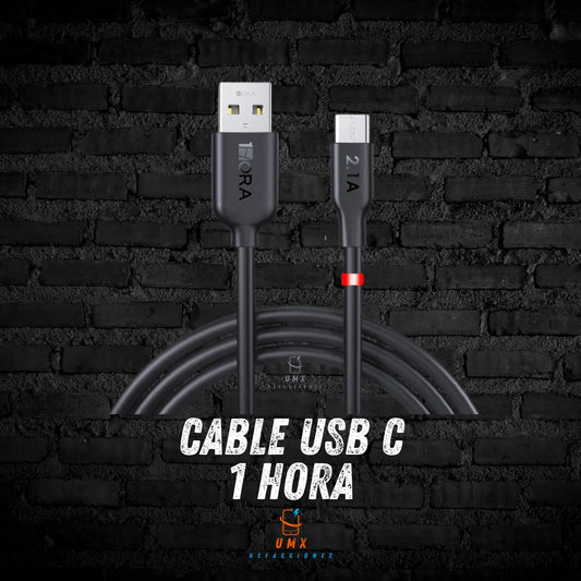Cable USB C 1Hora CAB237